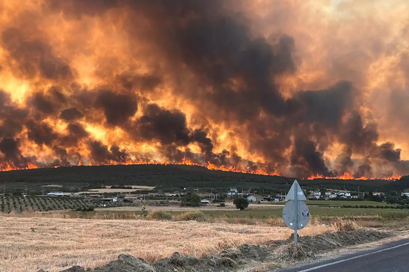Tekirdağ'da başlayan orman yangını Çanakkale'ye sıçradı Tekirdağ'da başlayan orman yangını Çanakkale'ye sıçradı