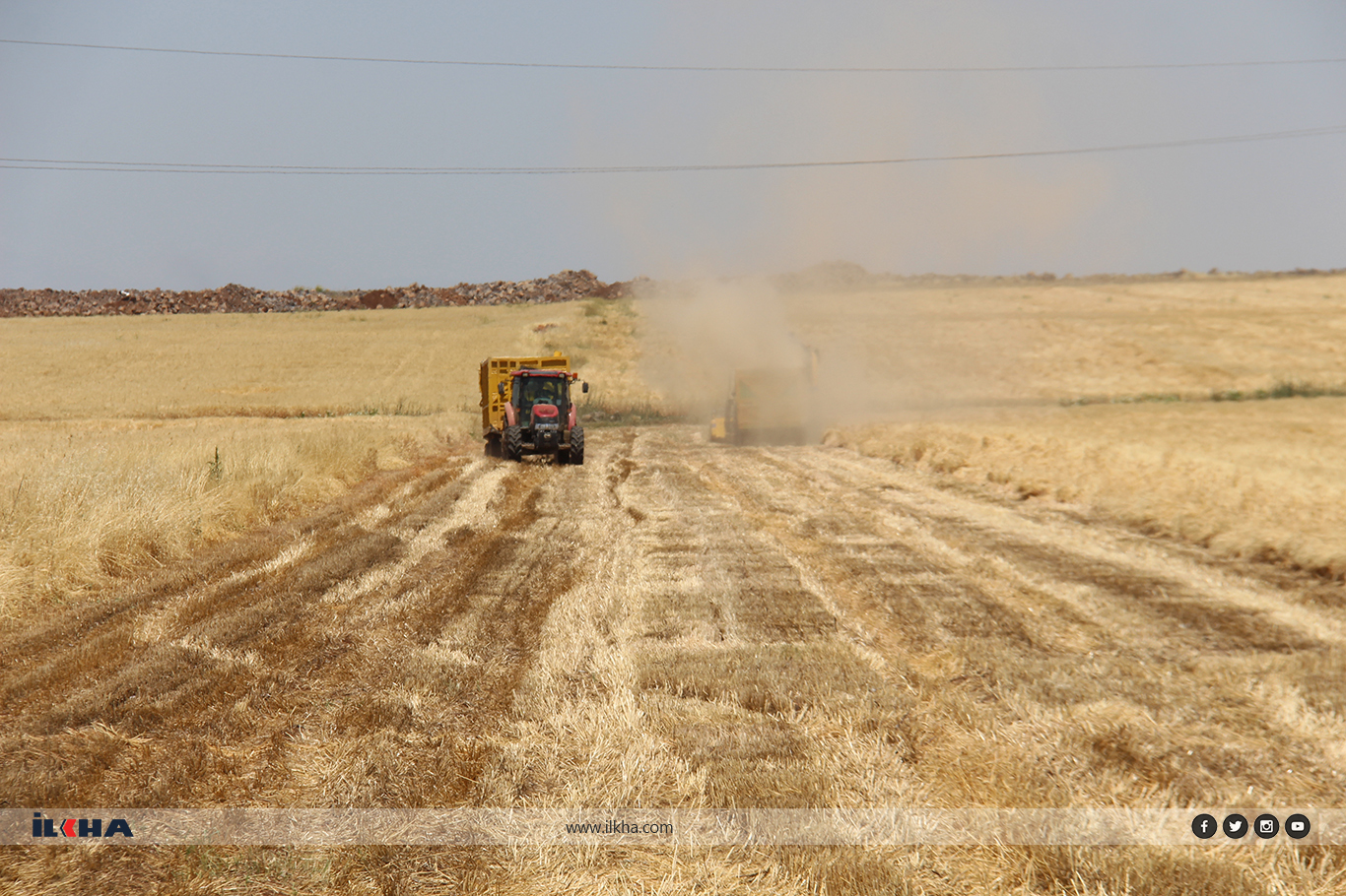 Palehîya genim berdewam dike: Cotkar kêfxweş e Palehîya genim berdewam dike: Cotkar kêfxweş e