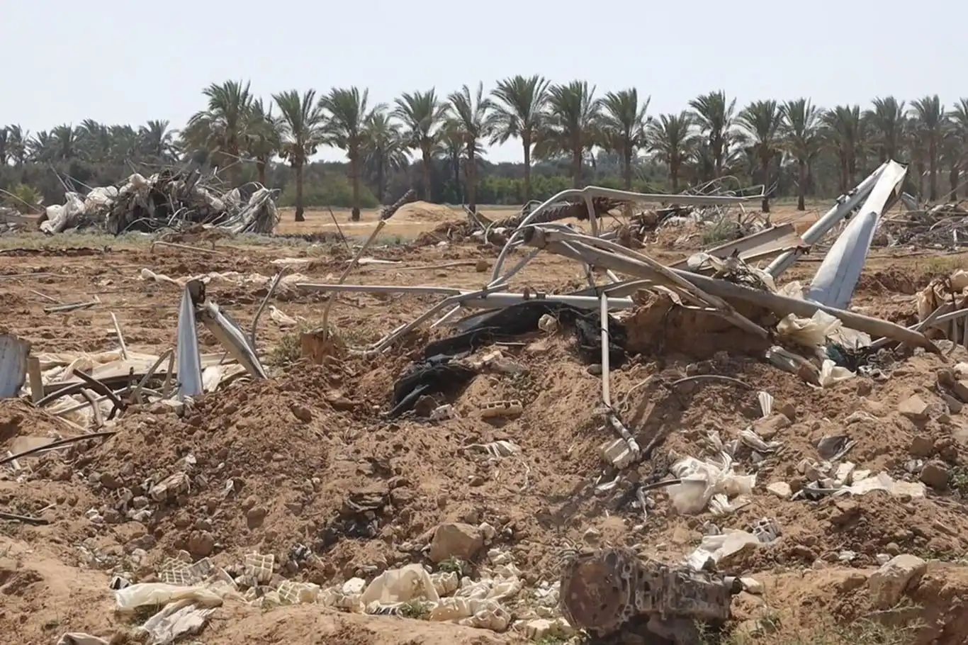 FAO: Israeli aggression has destroyed 95% of Gaza's farmland FAO: Israeli aggression has destroyed 95% of Gaza's farmland