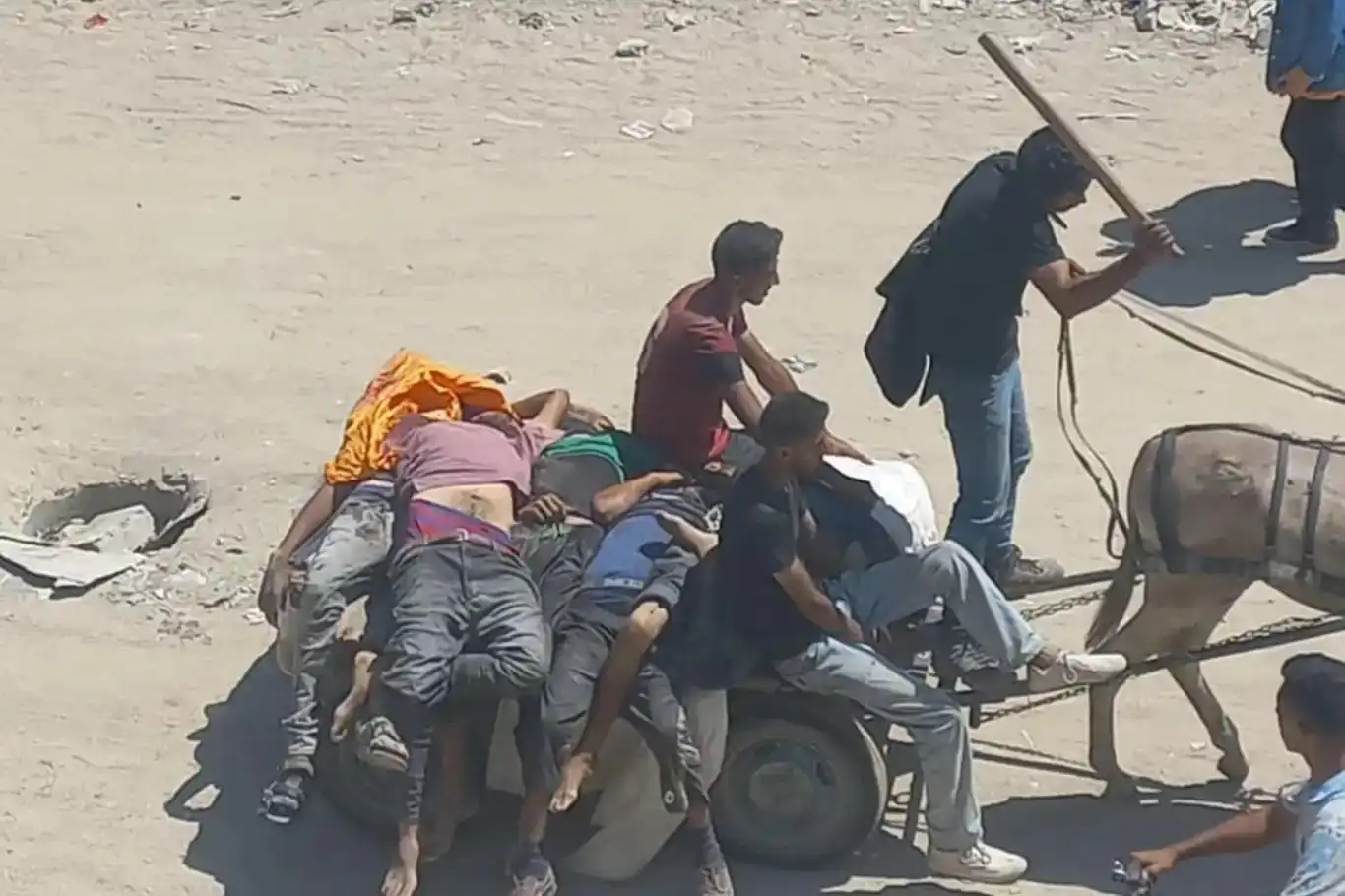 ارتفاع عدد الشهداء في غزة إلى 58,895 منذ 7 أكتوبر ارتفاع عدد الشهداء في غزة إلى 58,895 منذ 7 أكتوبر
