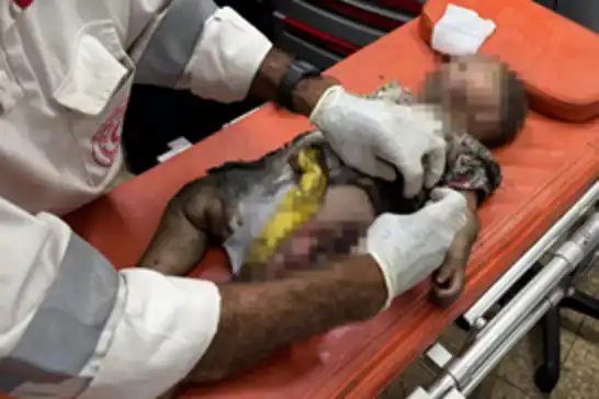 مقرّرة أممية: "إسرائيل تقتل الأطفال الفلسطينيين عمداً والمجتمع الدولي يتواطأ بالصمت"