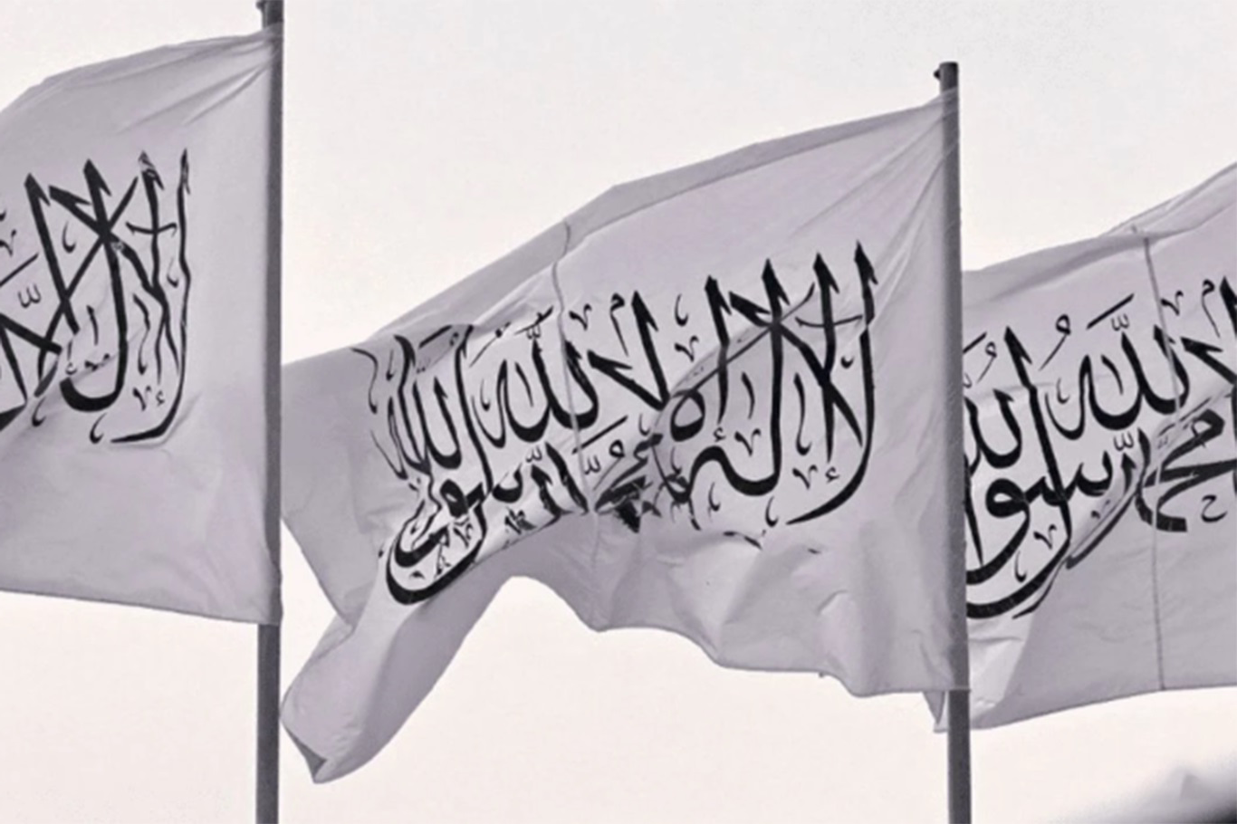 کاردانەوەی ئیمارەتی ئیسلامی ئەفغانستان بەرامبەر بە برسێتی و کۆمەڵکوژییەکانی غەززە
