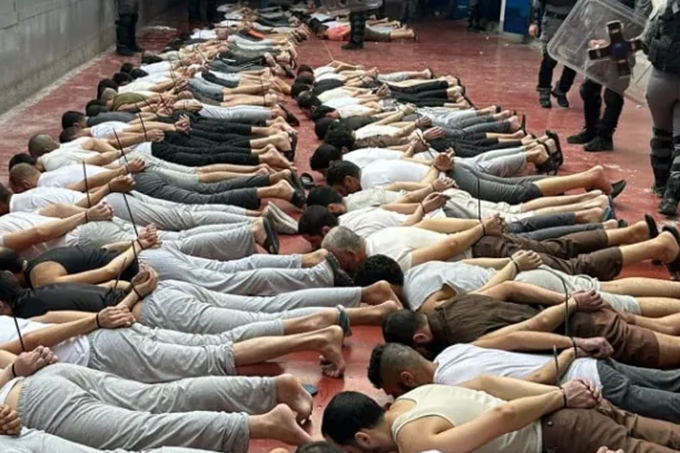 İşgal hapishanelerinde Filistinlilere sistematik işkence uygulanıyor İşgal hapishanelerinde Filistinlilere sistematik işkence uygulanıyor