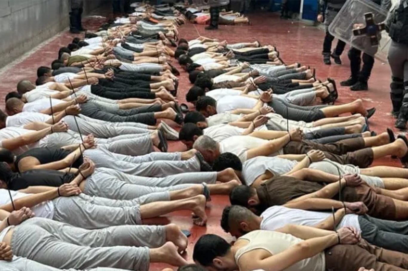Report exposes systematic torture of Palestinians in Israeli jails Report exposes systematic torture of Palestinians in Israeli jails