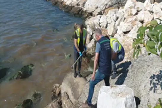 Bakanlıktan Yalova Belediyesine 1,3 milyon TL çevre cezası