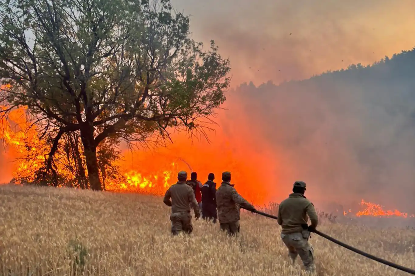 Türkiye detains 23 suspects in connection with 61 forest fires Türkiye detains 23 suspects in connection with 61 forest fires