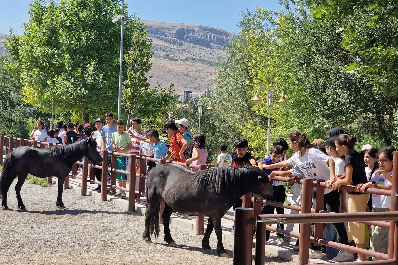 Kur'an kursuna düzenli devam eden öğrencilere hayvanat bahçesi gezisi ödülü Kur'an kursuna düzenli devam eden öğrencilere hayvanat bahçesi gezisi ödülü