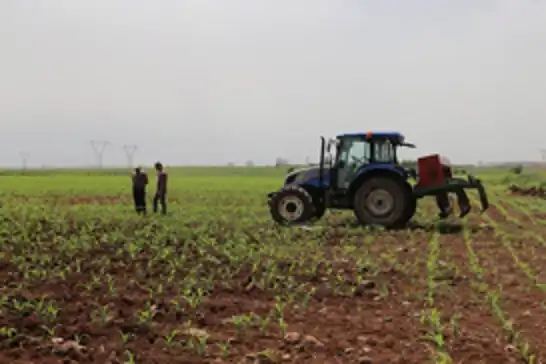 Tarımsal destekleme ödemeleri çiftçilerin hesabına aktarılıyor