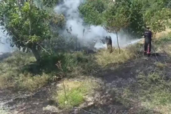 Malatya'da bahçe yangını paniğe neden oldu
