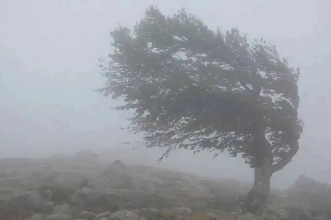 Meteorolojiden kuvvetli rüzgâr uyarısı Meteorolojiden kuvvetli rüzgâr uyarısı