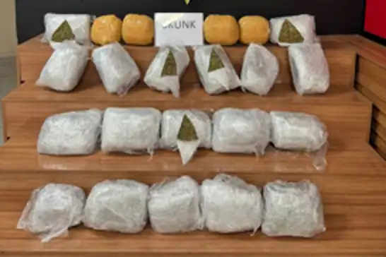 Şanlıurfa’da 25 kilogram skunk ele geçirildi: 2 gözaltı