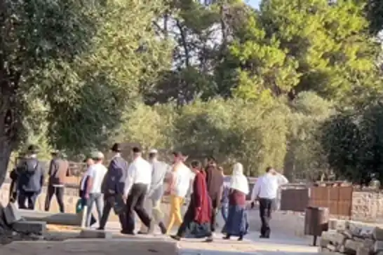 سەهیۆنییەکانی داگیرکەر جارێکی دیکە مزگەوتی ئەقسایان کردە ئامانج