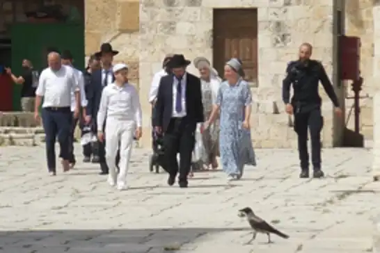 Siyonist Yahudiler Mescid-i Aksa'yı basarak Talmud ayinleri düzenledi