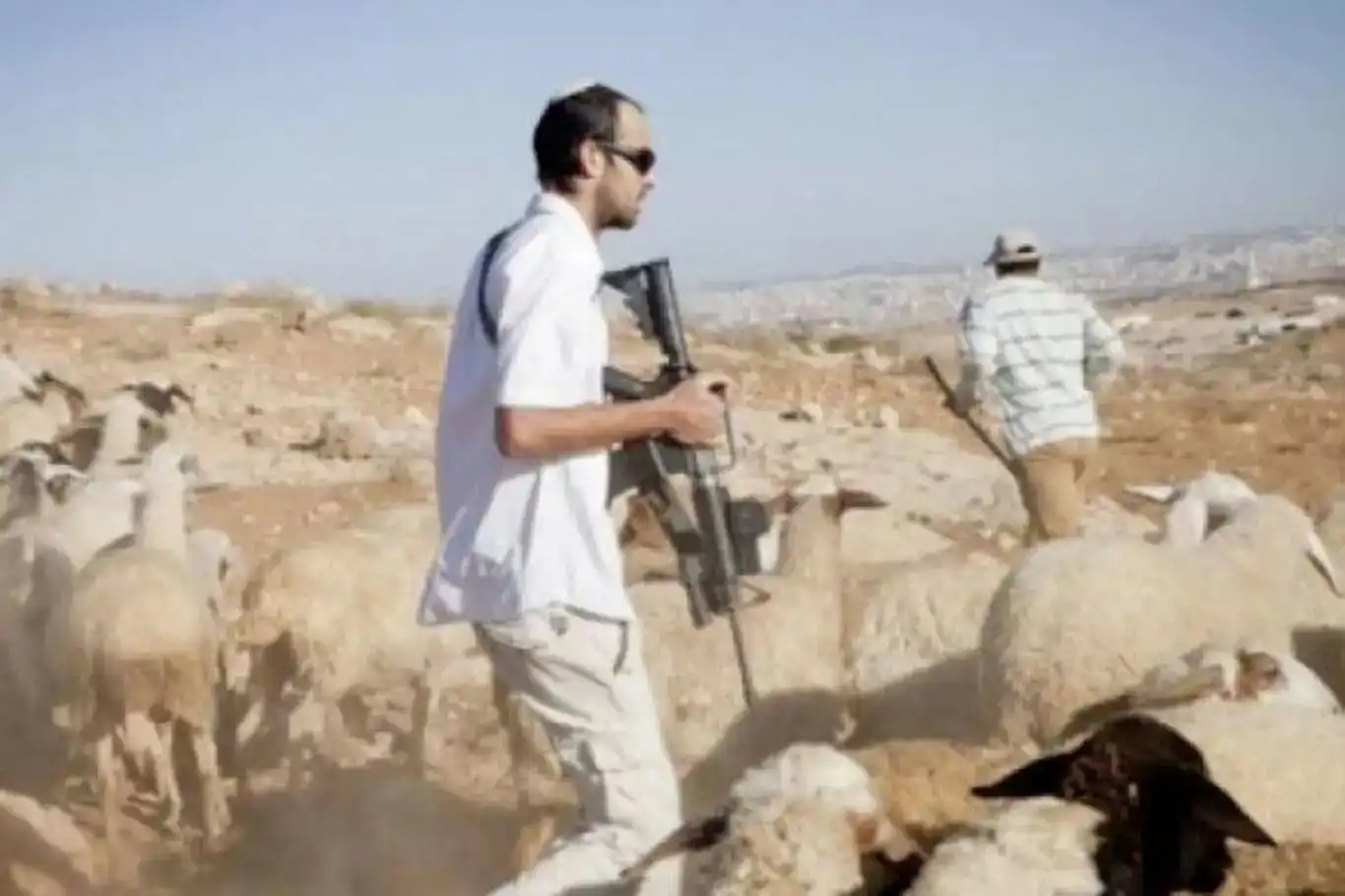 باندە جولەکەکان هێرش دەکەنە سەر زەوییەکانی فەلەستین باندە جولەکەکان هێرش دەکەنە سەر زەوییەکانی فەلەستین