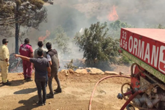 Turkish parliament to debate harsher penalties for forest arson