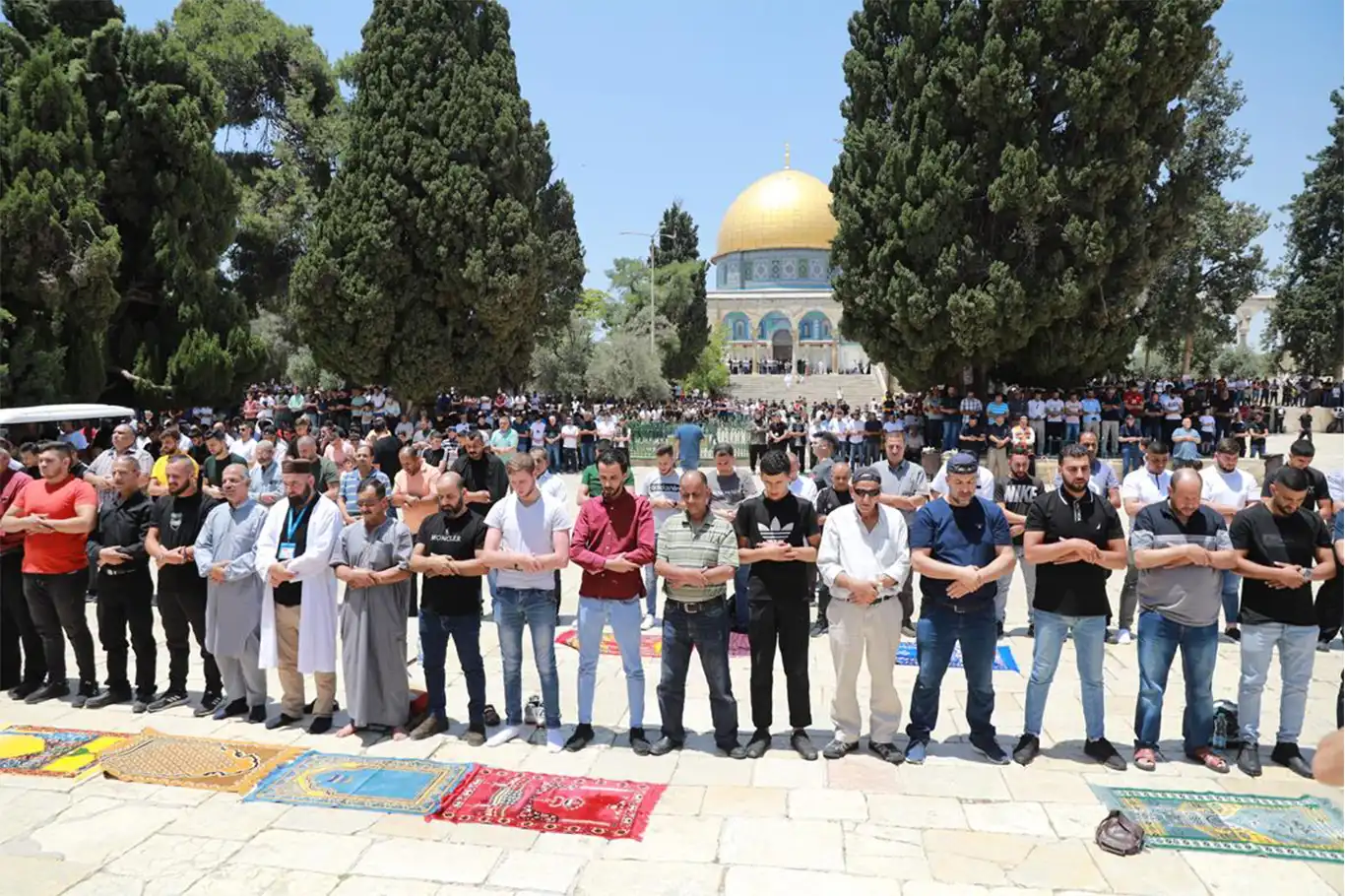 40 ألفا يؤدون صلاة الجمعة في المسجد الأقصى 40 ألفا يؤدون صلاة الجمعة في المسجد الأقصى