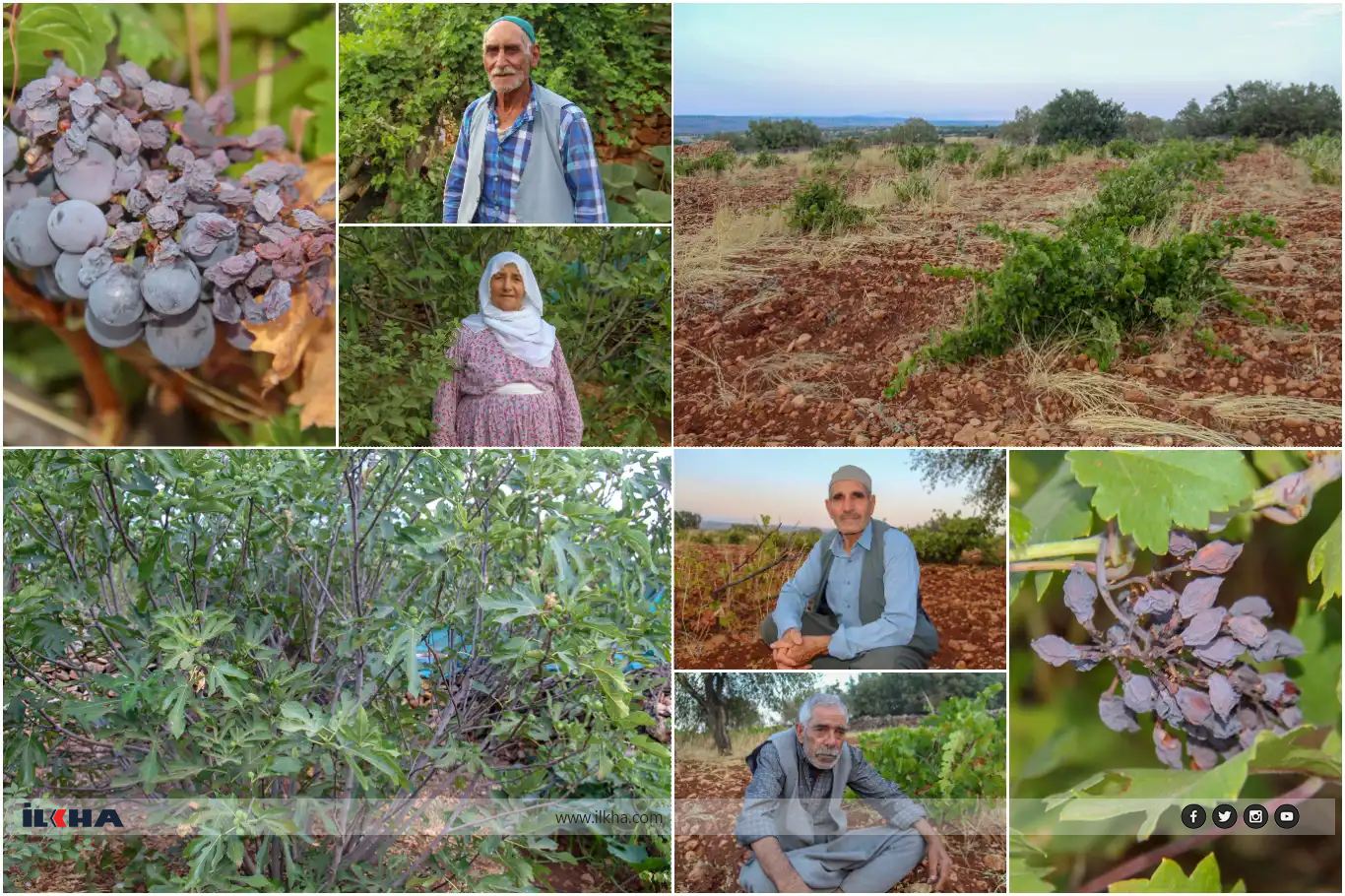 Cotkaran bang li rayedaran kirin: Rezên me rizgar bikin!