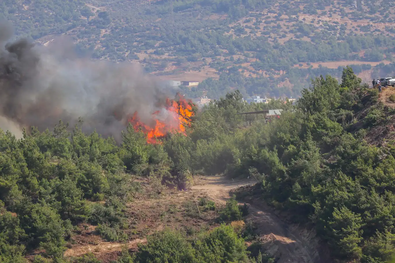 Hatay'da orman yangını 