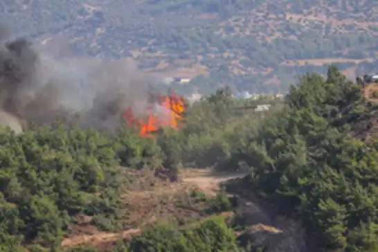 Hatay'da orman yangını 