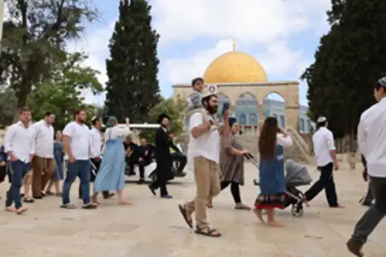 ٧٦٣ جولەکەی داگیرکەر هەڵکوتانە سەر مزگەوتی ئەقسا