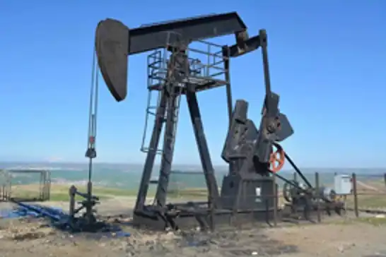 TPAO’nun petrol arama ruhsatları 2 yıl uzatıldı