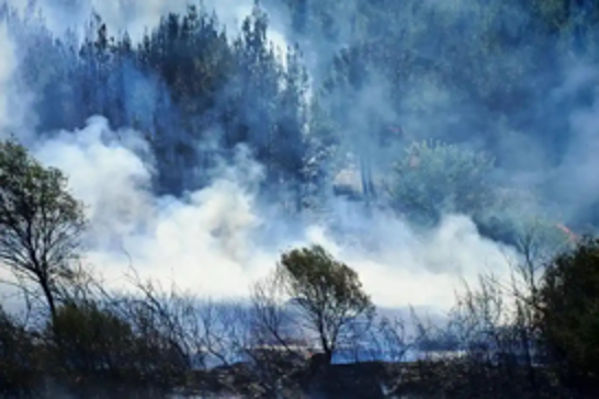 Çanakkale forest fire fully contained, no casualties reported