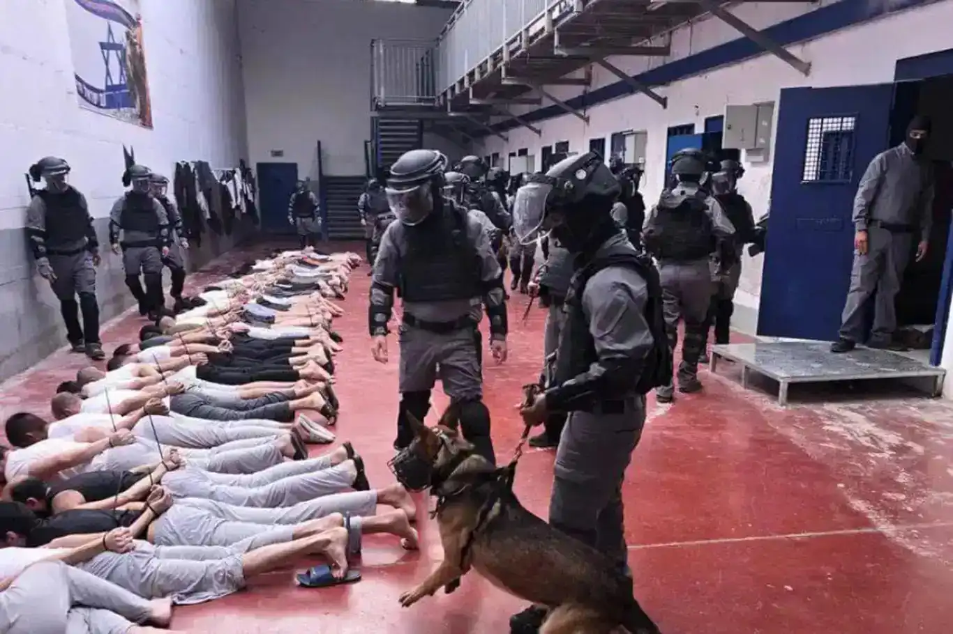 لە زیندانەکانی سەهیۆنییەکان ٧٥ فەلەستینی شەهید بوون لە زیندانەکانی سەهیۆنییەکان ٧٥ فەلەستینی شەهید بوون