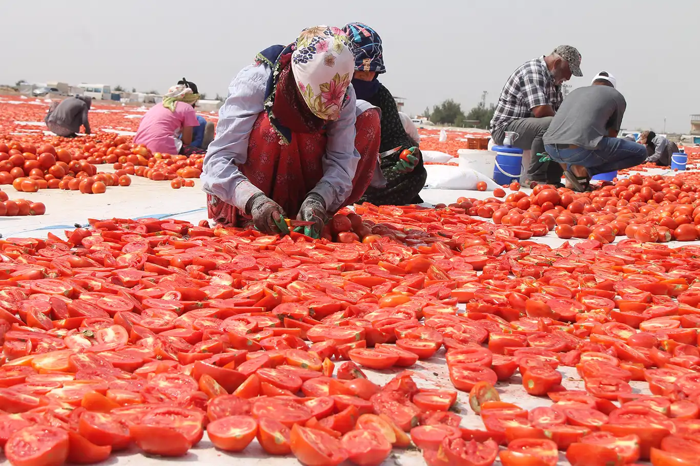 Diyarbakır'ın kavurucu sıcaklığında kurutma mesaisi