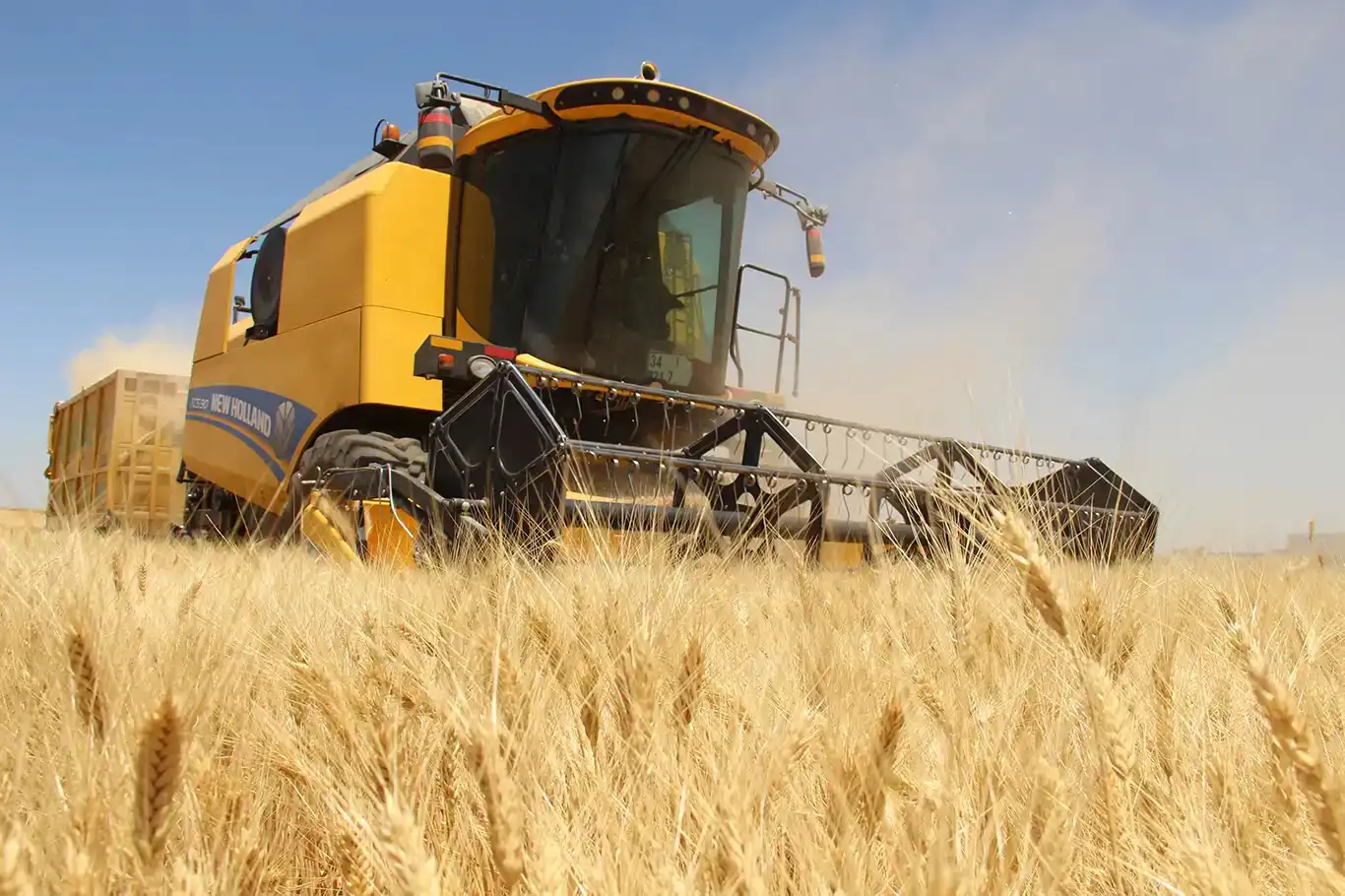 Türkiye reports sharp annual increase in agricultural input prices Türkiye reports sharp annual increase in agricultural input prices