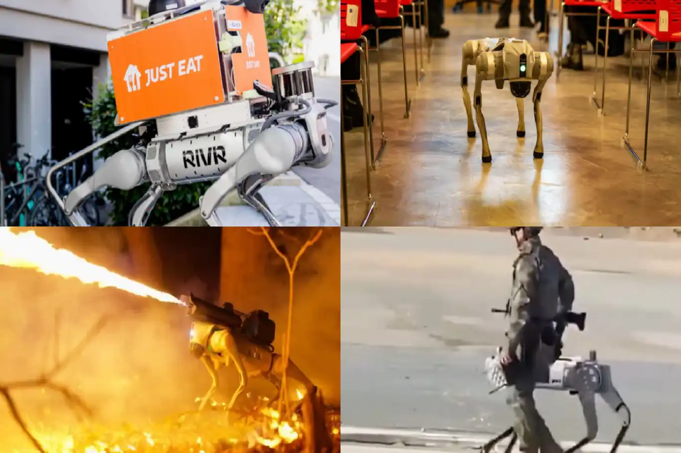 Robot köpeklerin kullanım alanı hızla genişliyor Robot köpeklerin kullanım alanı hızla genişliyor