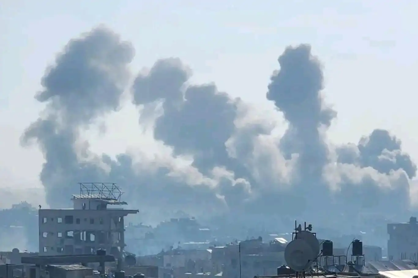 الحكومة النرويجية تدعو لبناء تحالفات قوية ضد الاحتلال الصهيوني الحكومة النرويجية تدعو لبناء تحالفات قوية ضد الاحتلال الصهيوني