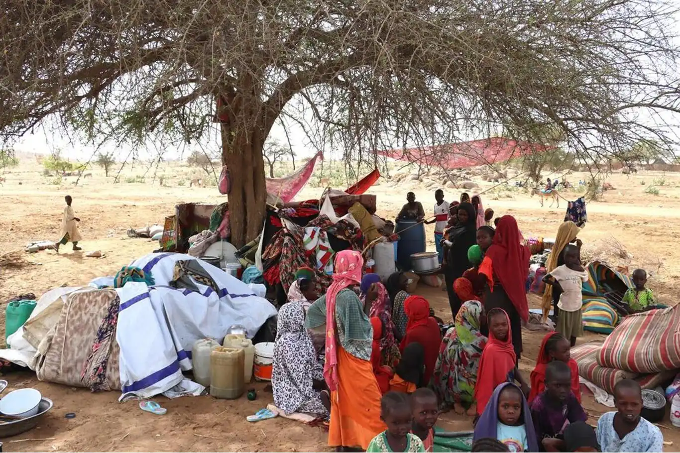 Afrika genelinde 82 binden fazla kişi kayıp Afrika genelinde 82 binden fazla kişi kayıp