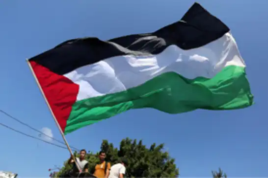 Güney Afrika, dünyayı Filistin'i tanımaya ve Gazze'deki soykırımı durdurmaya çağırdı