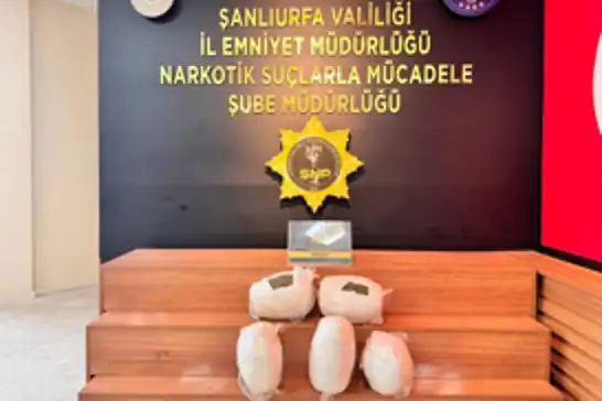 Şanlıurfa'da 7.5 kilogram skunk ele geçirildi: 1 tutuklama