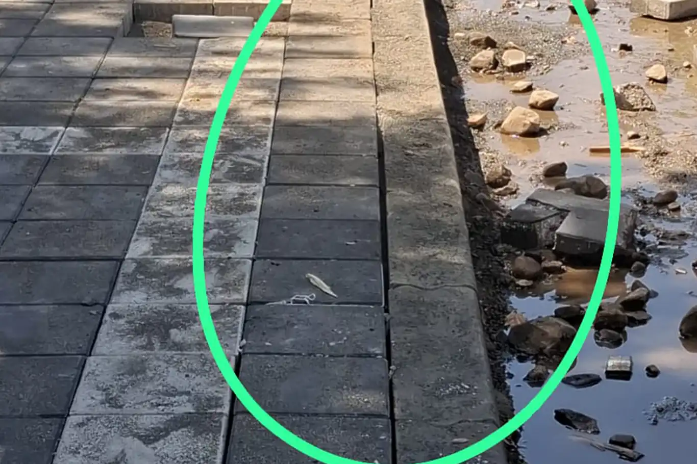 HÜDA PAR Genç İlçe Başkanı Doğru: Bir kentin vitrini bu olmamalı HÜDA PAR Genç İlçe Başkanı Doğru: Bir kentin vitrini bu olmamalı
