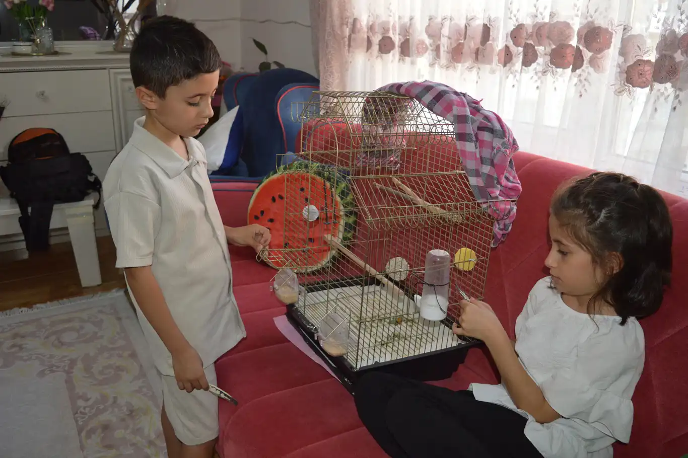 Küçük kardeşlerin yürek burkan çağrısı: Papağanımız Zeytin’i geri getirin