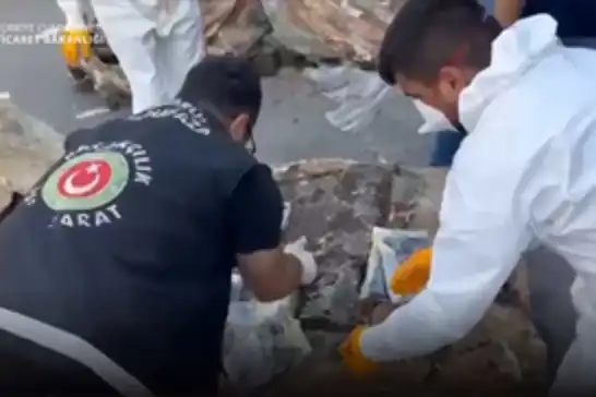 Sarp Gümrük Kapısı ve İstanbul'da 601 kilo uyuşturucu ele geçirildi