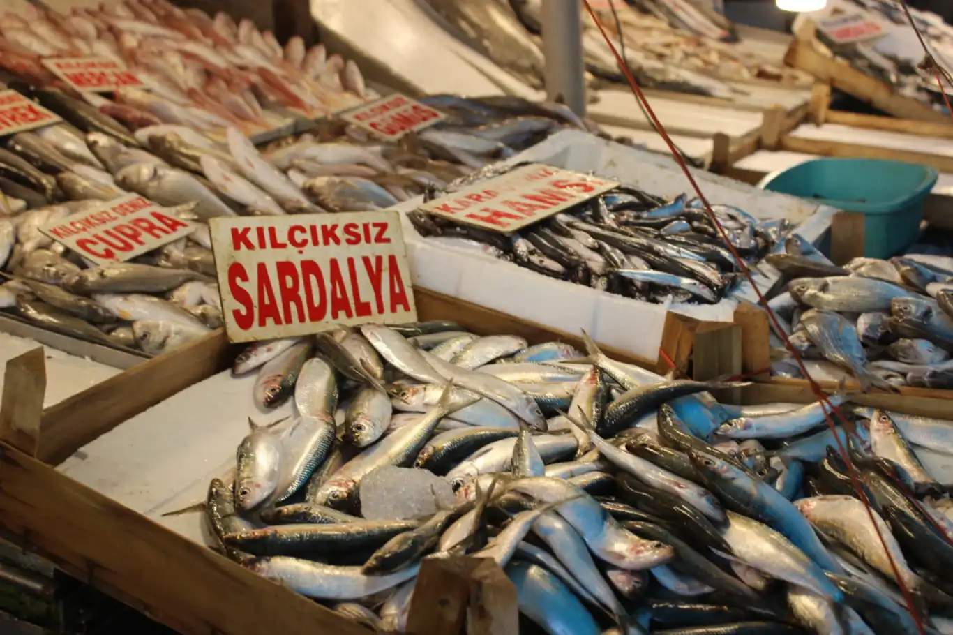 Akdeniz'de balık sezonu bereketiyle başladı