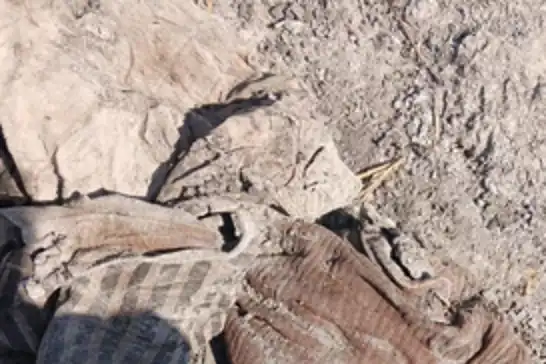 Şam kırsalında eski rejimin katlettiği 100 kişiye ait toplu mezar bulundu