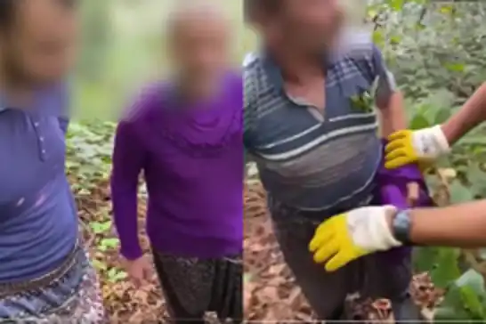 Samsun'da fındık bahçesine kenevir eken baba ve oğul tutuklandı