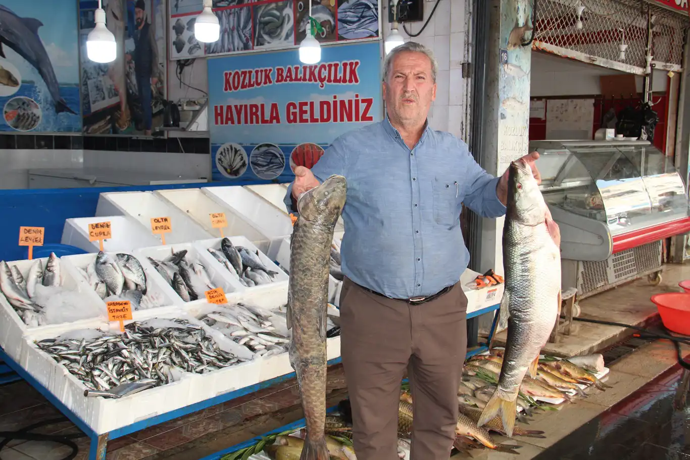 Av yasağı kalktı, balık piyasası hareketlendi Av yasağı kalktı, balık piyasası hareketlendi