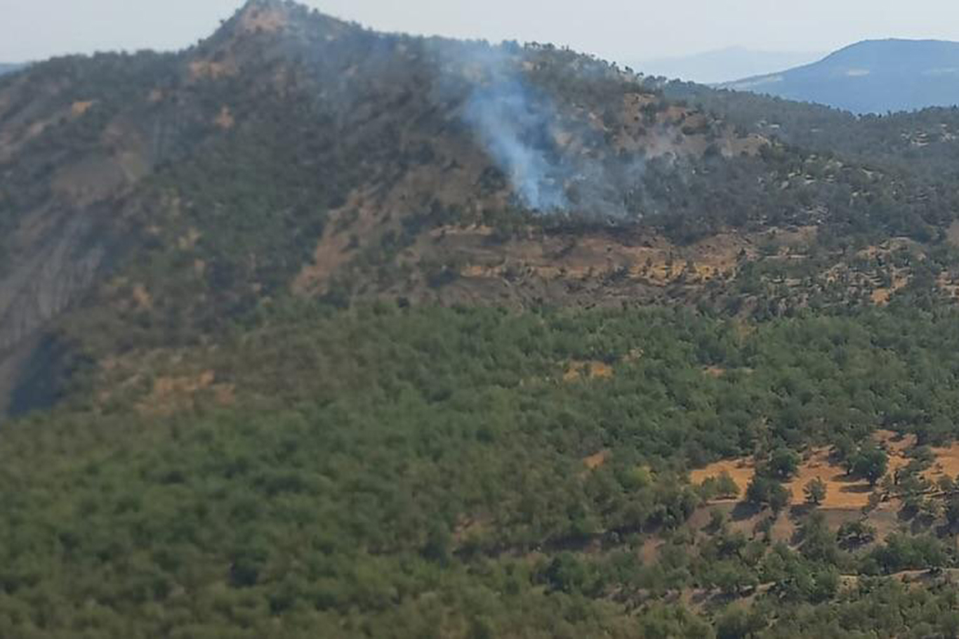 Şırnak’ta ormanlık alanda çıkan yangın kontrol altına alındı Şırnak’ta ormanlık alanda çıkan yangın kontrol altına alındı