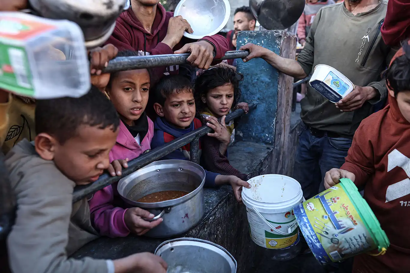 WHO: International community must stop Gaza starvation now WHO: International community must stop Gaza starvation now
