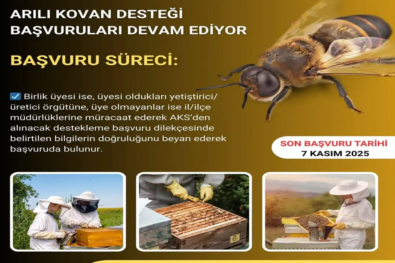 Bingöl’de arılı kovan desteği başvuruları devam ediyor Bingöl’de arılı kovan desteği başvuruları devam ediyor