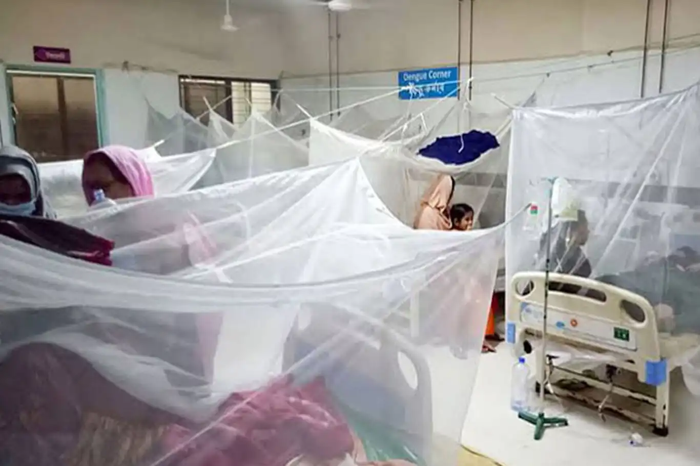 Bangladeş'te dang humması nedeniyle yüzlerce kişi hastane kaldırıldı: 135 can kaybı Bangladeş'te dang humması nedeniyle yüzlerce kişi hastane kaldırıldı: 135 can kaybı