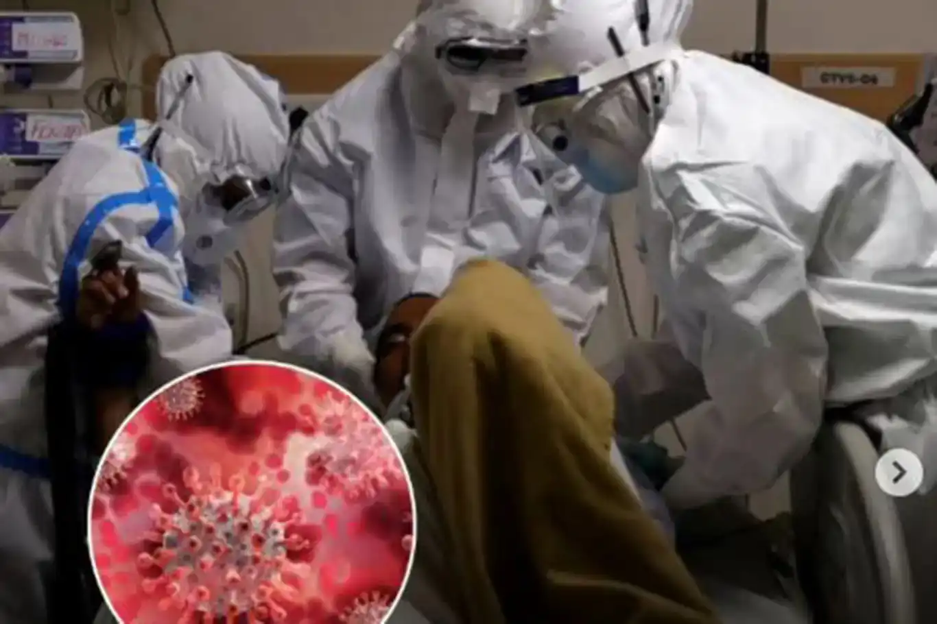 هشدار ویروس نیپا در آسیا