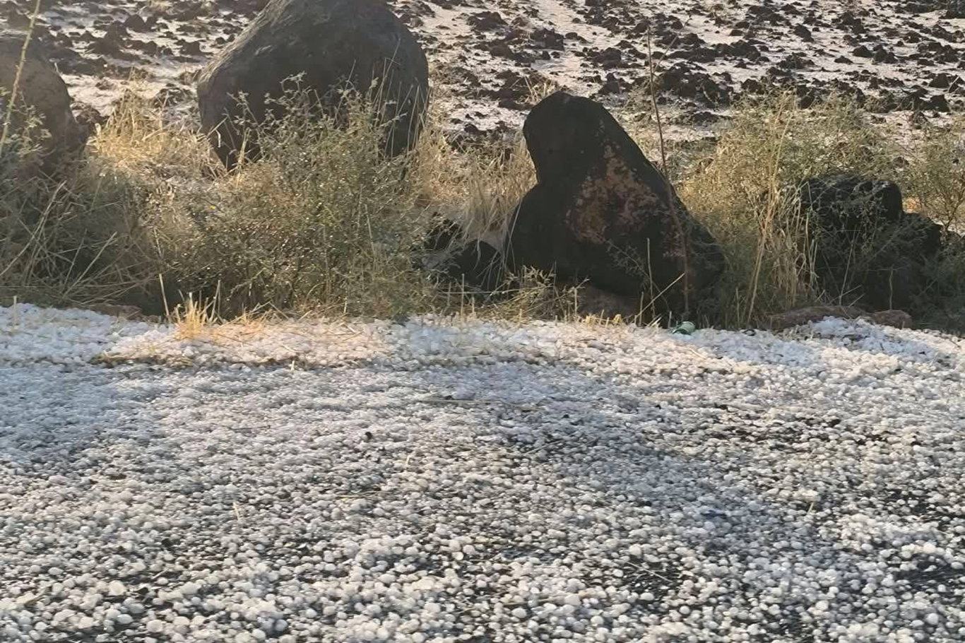 Şanlıurfa'da yağış ve dolu ekili alanlara zarar verdi