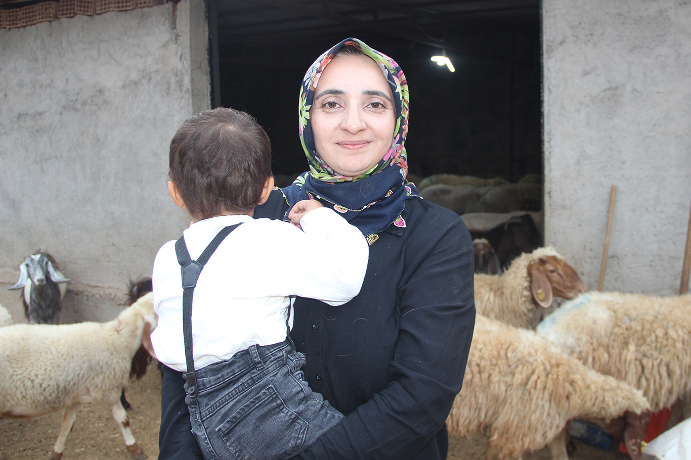 10 KOYUNLA BAŞLADI, DEVLET DESTEĞİYLE 250’YE ULAŞTI: 4 ÇOCUK ANNESİNİN EN BÜYÜK HEDEFİ ÇİFTLİK KURMAK