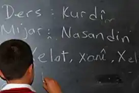 Di dersên bijarte yên Kurdî de pirsgirêka kitêb û mamosteyan
