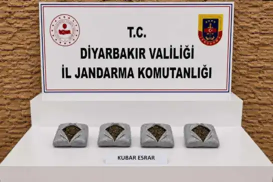 Diyarbakır'da 57 bin kök keneviri ele geçirildi